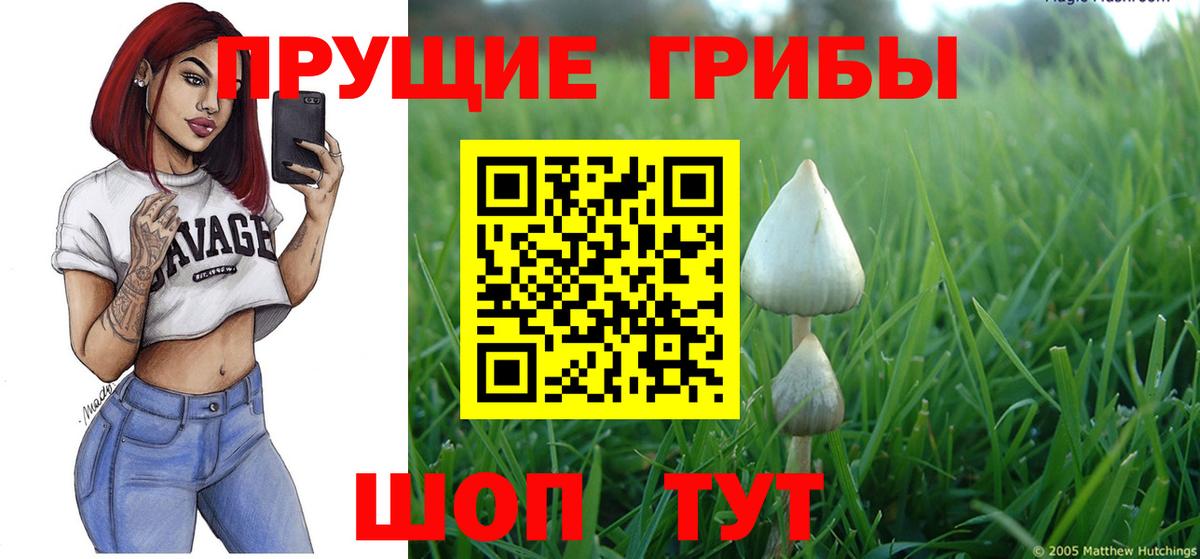 Донецк  Псилоцибиновые грибы ЛСД  Псилоцибиновые грибы Magic Shrooms  Вход с VPN 